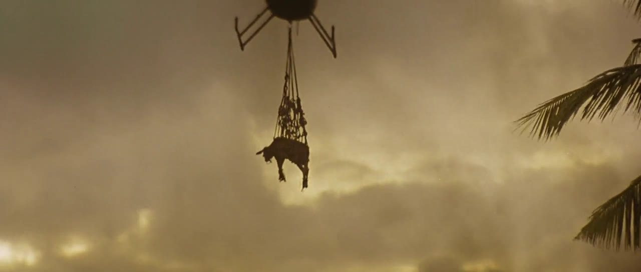 Apocalypse Now (1979) still at 00:31:11.669