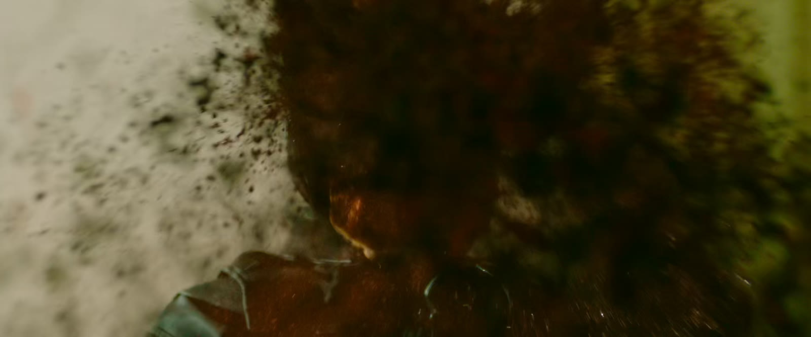 Citizen Vigilante (2026) · film stills